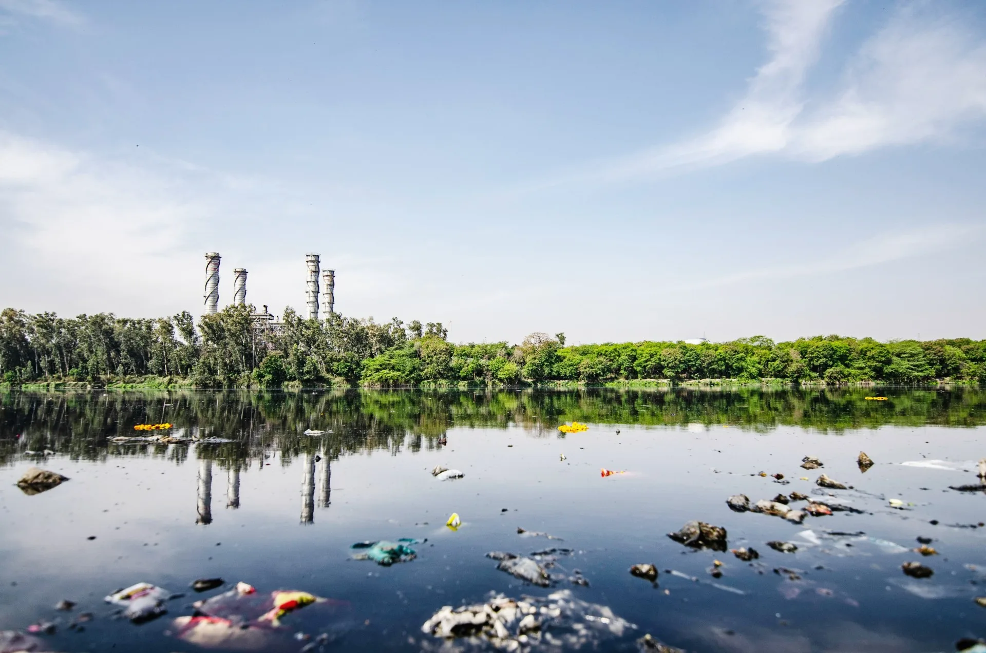 Why Proper Waste Removal Matters: Avoiding Environmental and Health Risks.