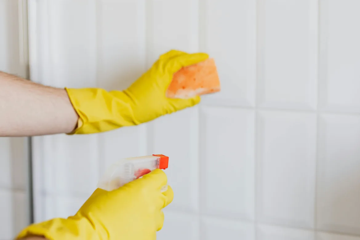 Deep Cleaning vs Regular Cleaning: Make the Right Choice for a Healthier, Cleaner Home