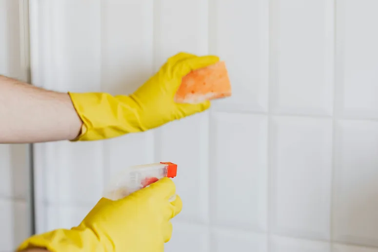 Deep Cleaning vs Regular Cleaning: Make the Right Choice for a Healthier, Cleaner Home